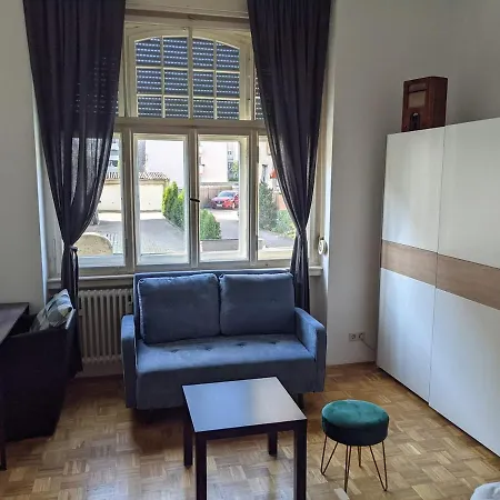Wohnen Am Main - Gemuetlicher Altbau, Zentral Würzburg Esterno foto